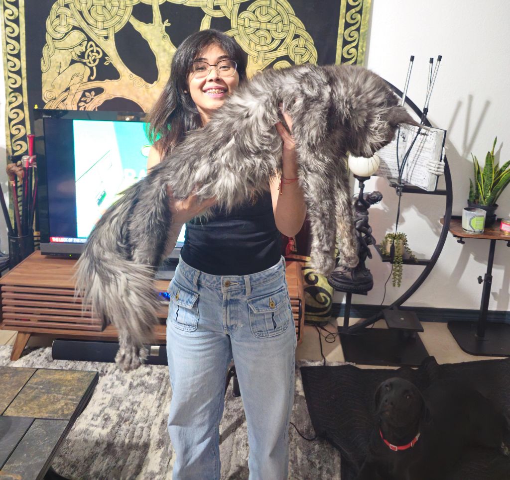 2026-01-31-201155_002