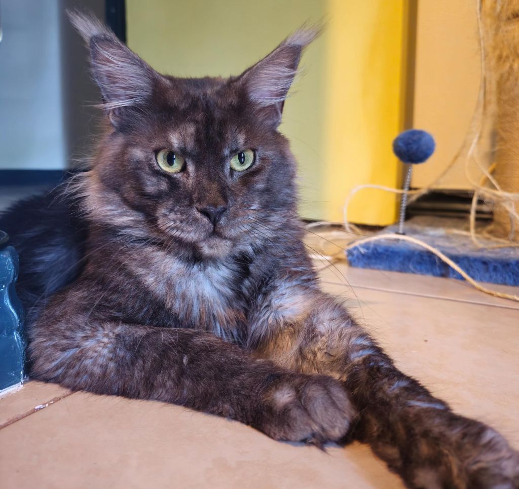 signal-2025-06-17-22-10-26-254